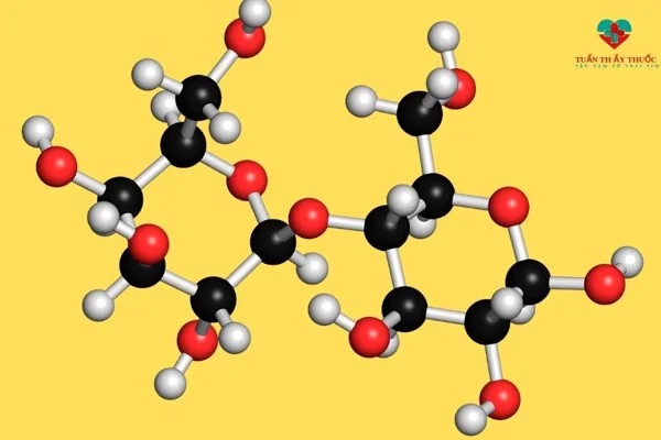 Enzym Lactase là gì - thực phẩm chức năng vip - Droppiishops