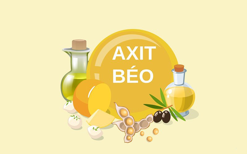 Axit béo