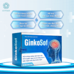 Ginkosof-3-510x510-1