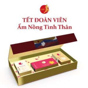 TẾt ĐoÀn ViÊn