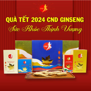 Hình Combo Tết